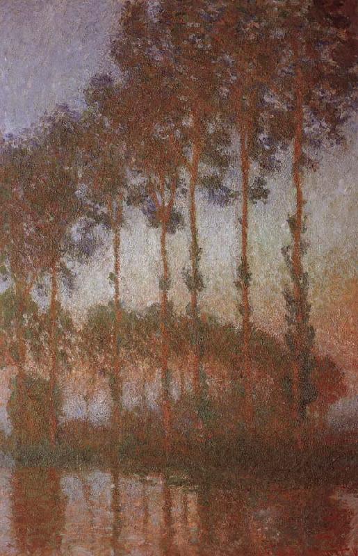 Claude Monet Poplars on the banks of the ept oil painting image